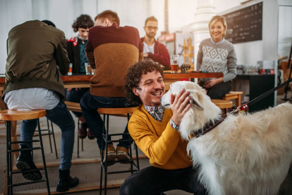 Dogs-in-Breweries