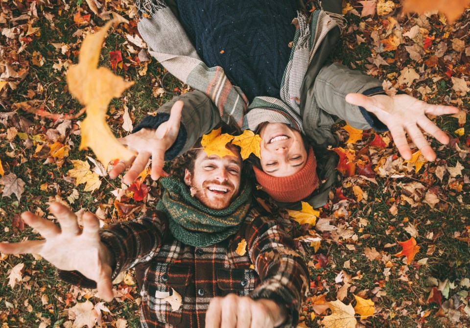 fall activities in the leaves