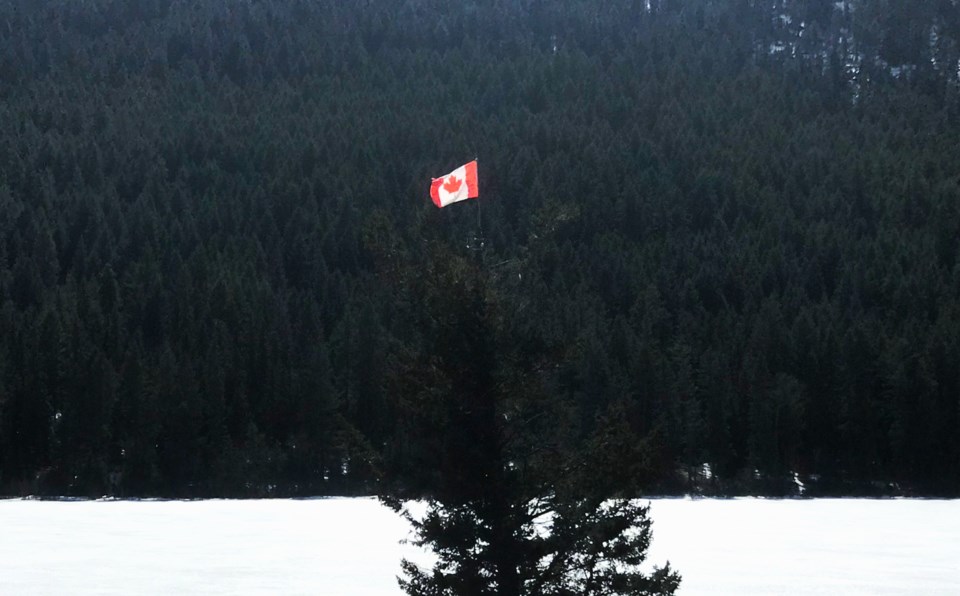 flag-forest