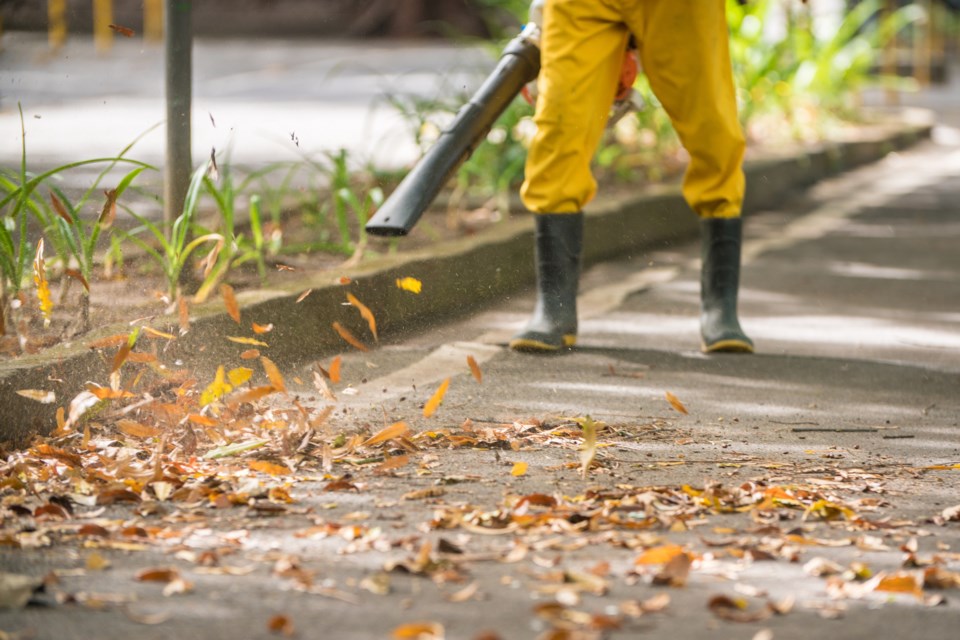 Leaf-blower-Pollyana_Ventura_GettyImages