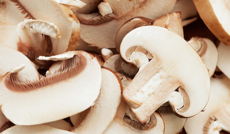 The Canadian Food Inspection Agency (CFIA) is alerting the public that a brand of mushrooms is being recalled due to possible listeria contamination. 