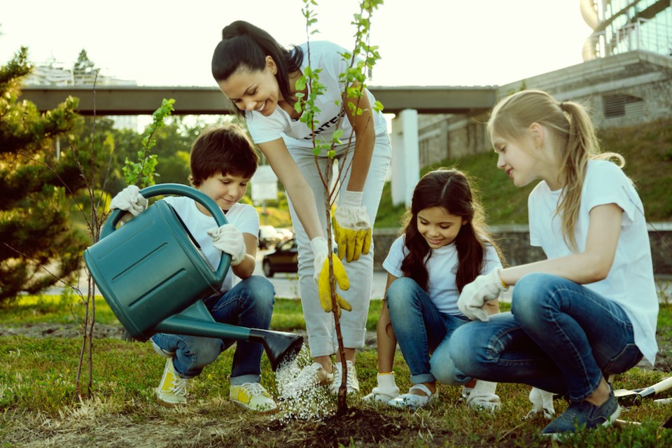 planting-tree-city