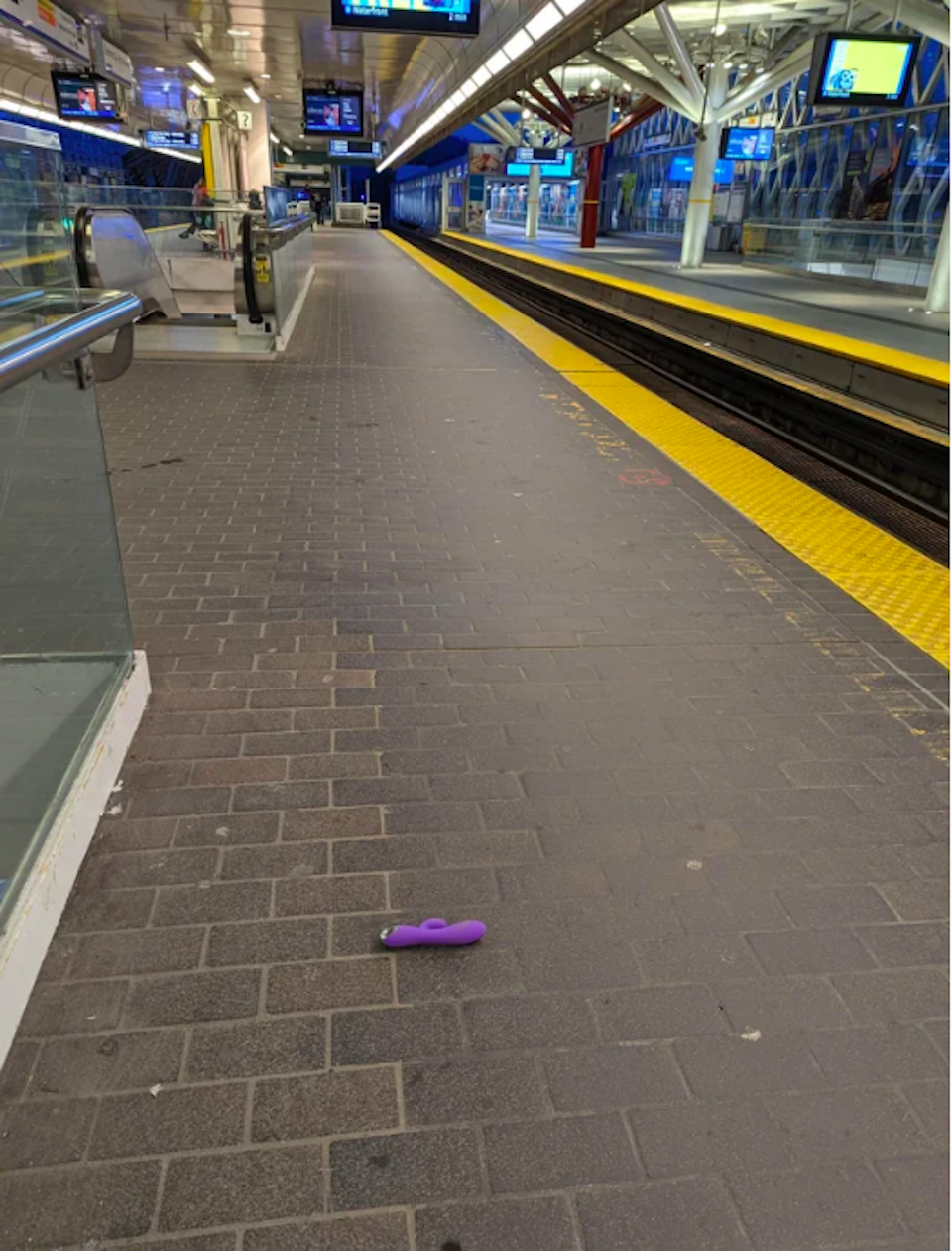purple-dildo-metro-vancouver-skytrain-stationjpg