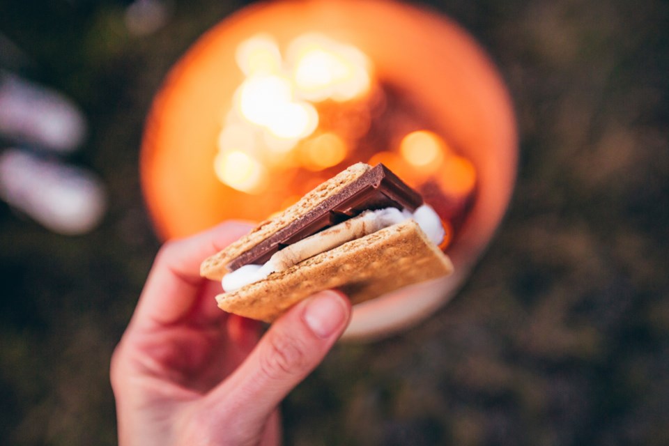 smores stock image