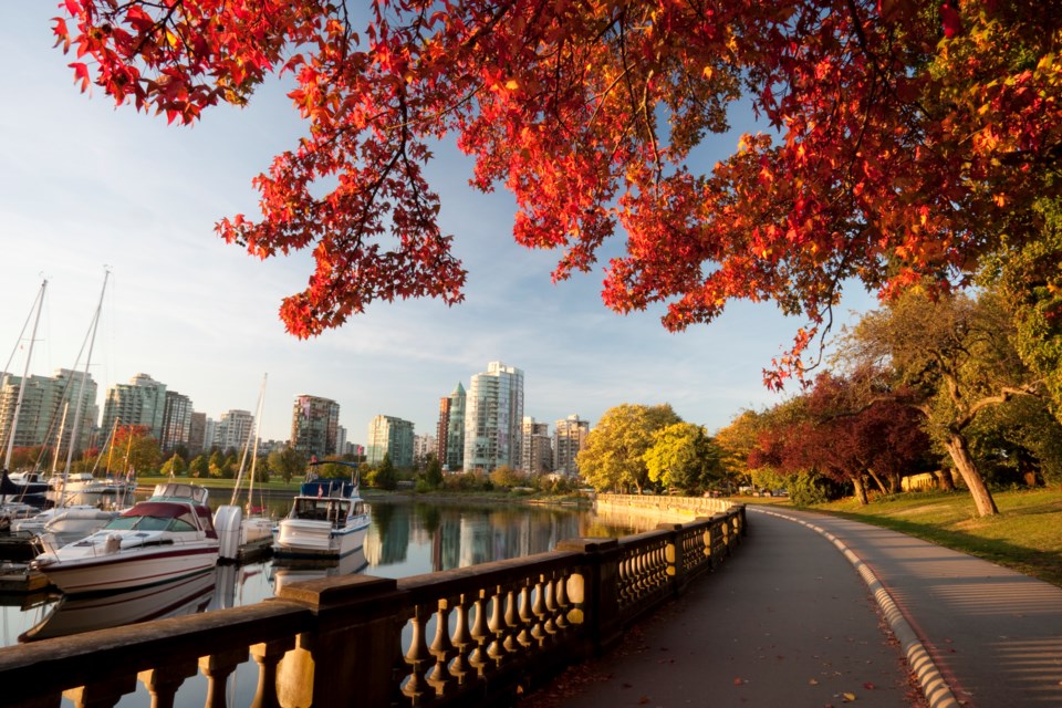 stanley park stock image