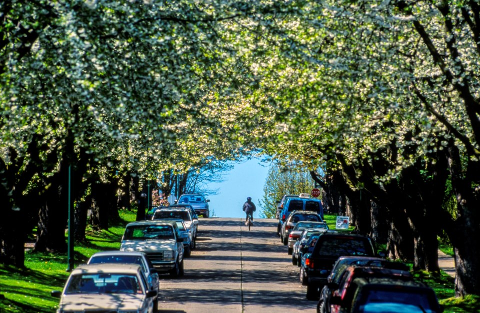 vancouver-street-stock-photo