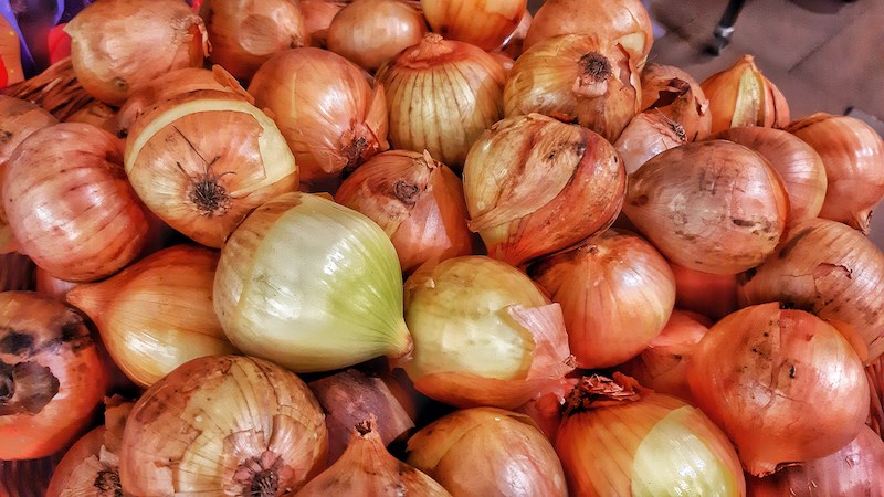 The Canadian Food Inspection Agency is notifying consumers that several brands of onions are being recalled due to possible salmonella contamination. 