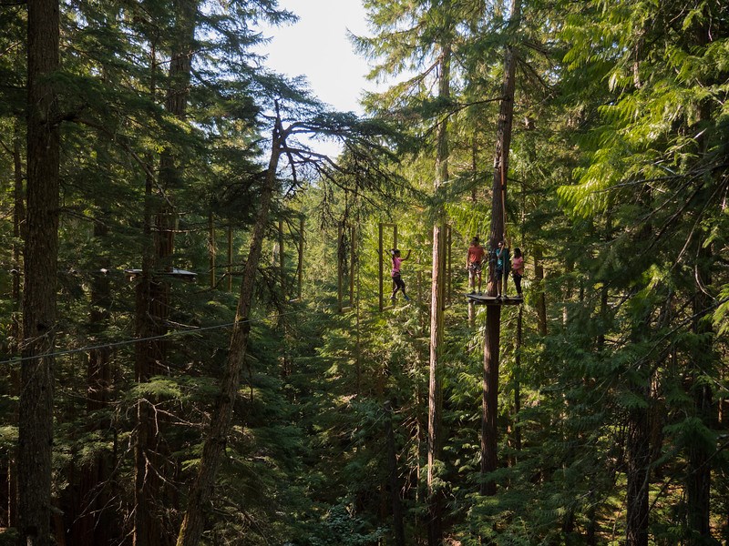 tag-whistler-treetop-adventure