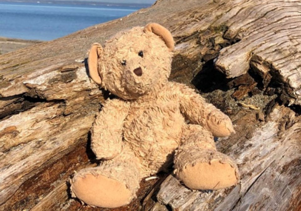 TEDDY BEAR LOST