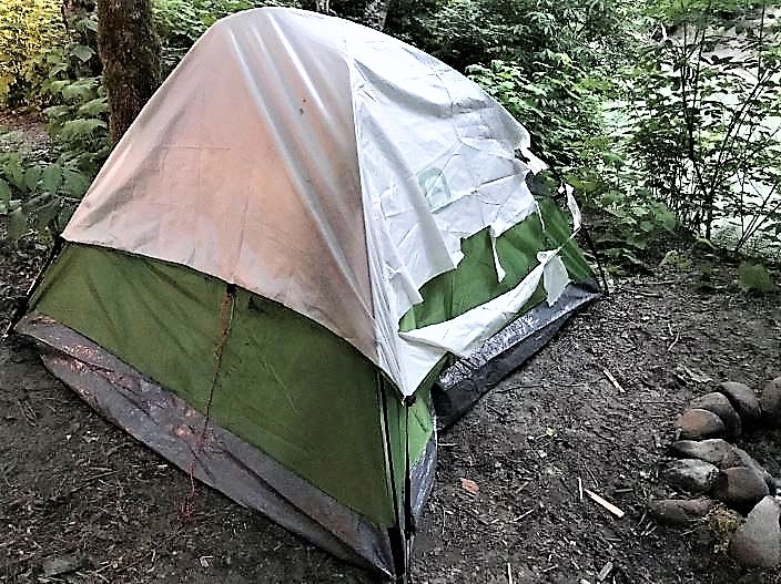 tent-bear-ripped-food-squamish-bccos