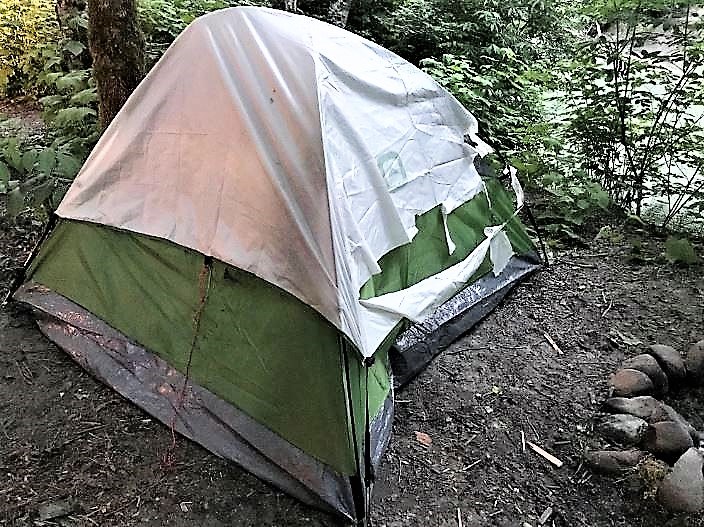 tent-bear-ripped-food-squamish-bccos