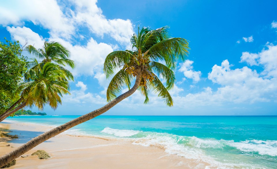 barbados-beach-tropical-travel