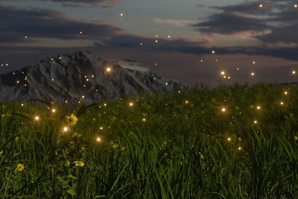 fireflies-near-the-mountains