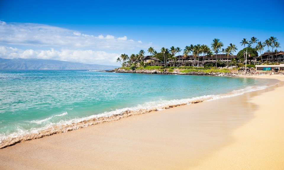 Flights to Maui from Vancouver cost less in April 2024 than they do at any other time of the year, according to Google Flights.