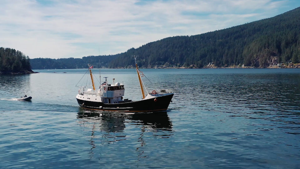The Curve of Time Charters sails through breathtaking areas including the Gulf Islands, Desolation Sound, the Broughton's, and the Great Bear Rainforest. 