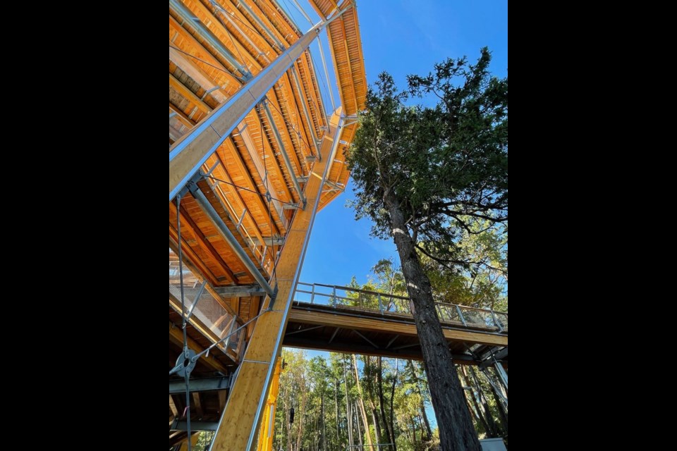 The Malahat Skywalk on 鶹ýӳIsland offers a perspective of a lush forest from a 10-storey spiral tower lookout; the attraction opens July 15, 2021. 