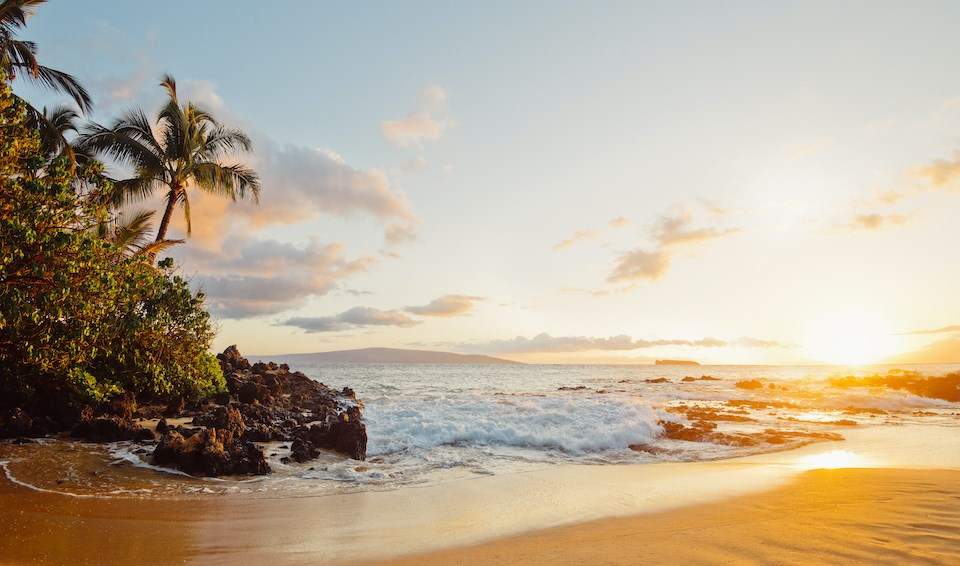 maui-beach-waves-tropical