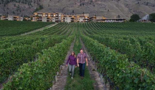 National Geographic filmmaker Bryan Smith BC winery NatGeo screen_shot_2020-10-18_at_1.10.23_pm_p3486210