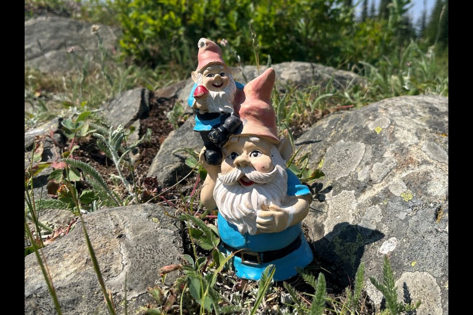 The Gnome Roam features two trails at Silver Star Mountain Resort where you can hike and spot these colourful characters along the way.