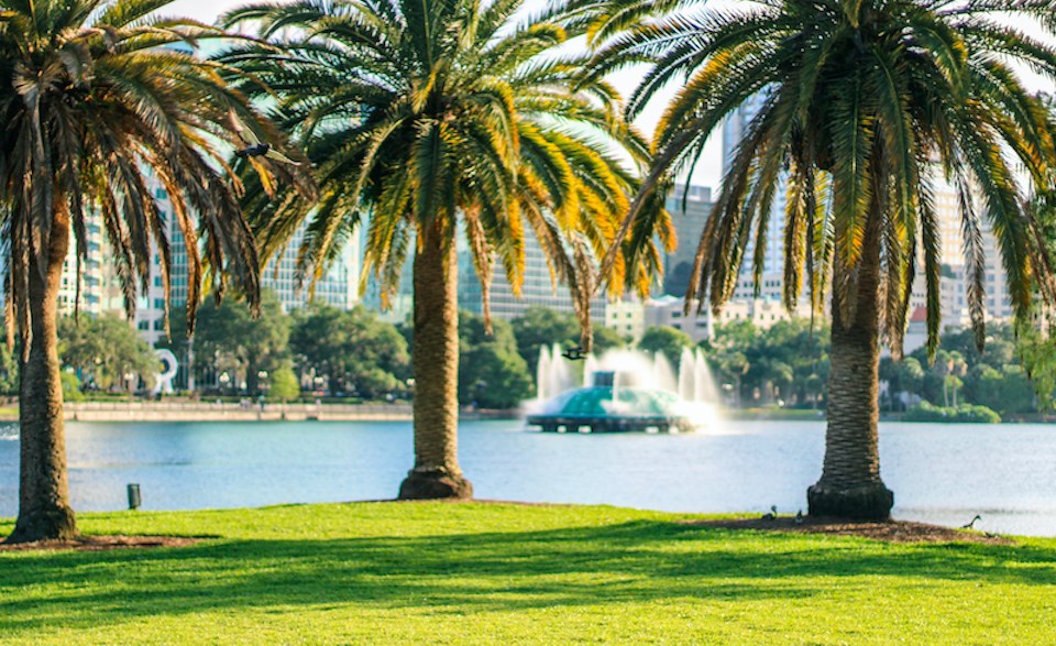 vancouver-flights-orlando-palm-trees