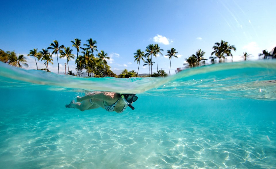 Vancouver to Hawaii: Tips for booking trips, what to see