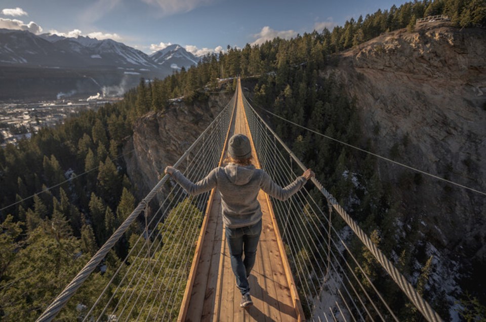 mountain-suspension-bridge-bc-2