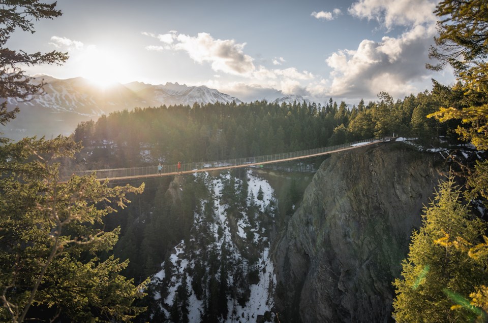 mountain-suspension-bridge-bc