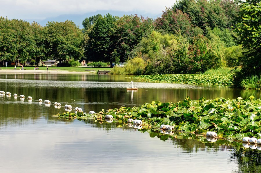 trout-lake-john-hendry-park-vancouver