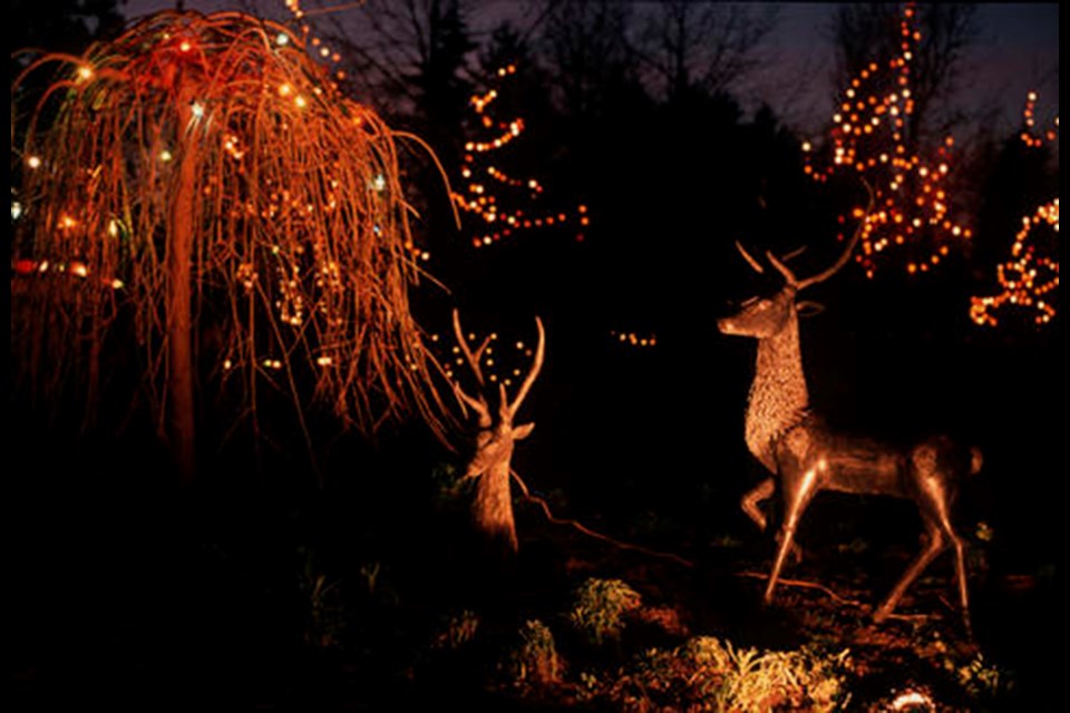 VanDusen Botanical Garden’s Festival of Lights in 1988. Photo: City of Vancouver Archives [CVA 1502-127]