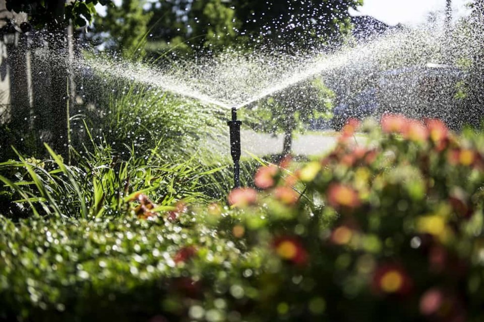 watering-lawn