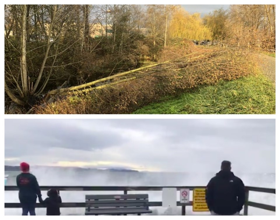 bcstorm-vancovuer-windstorm-feature