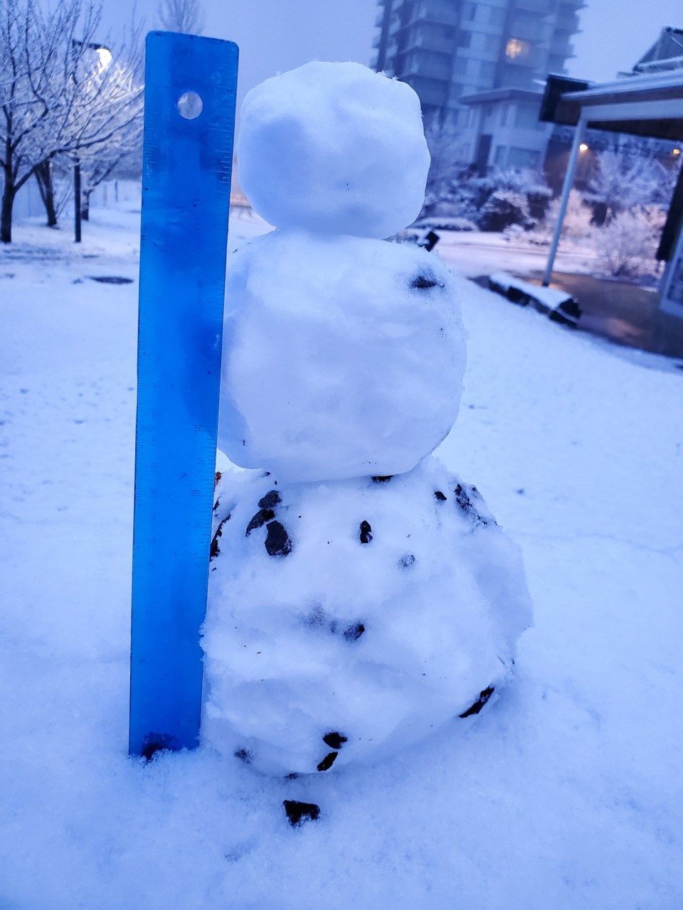 Burnaby snowman