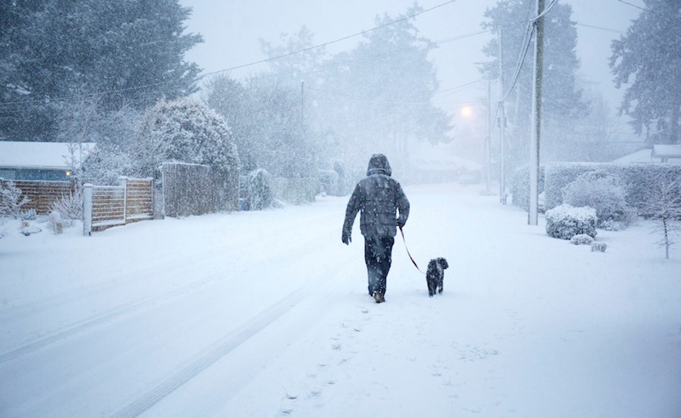 man-walking-dog-snow