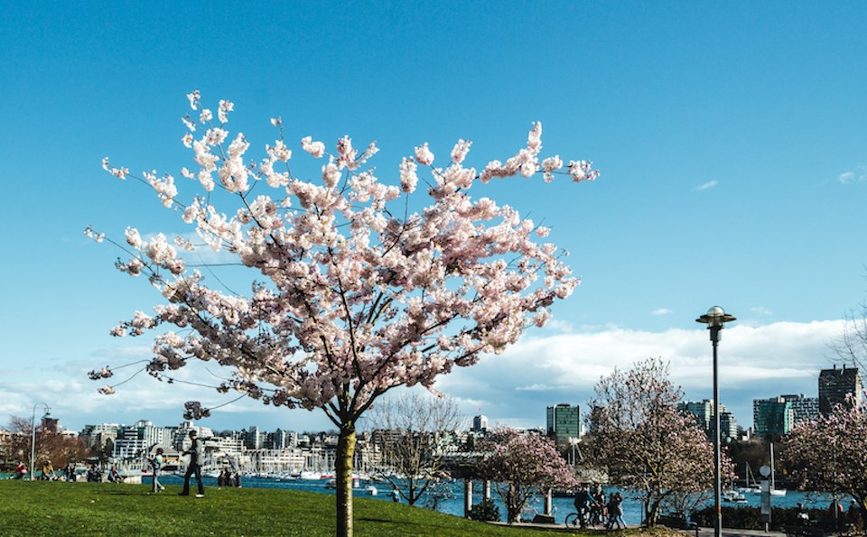 The Metro Vancouver weather forecast includes above-average temperatures with plenty of sunshine before a shift to possible rainfall in March 2024.
