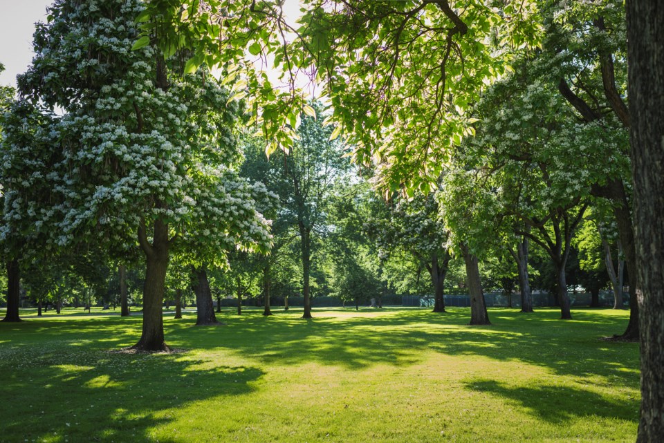 Park-Tony-AndersonGettyImages-1251715942