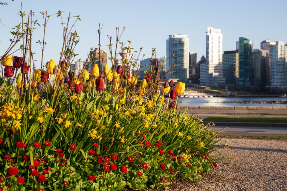 spring-stanley-park