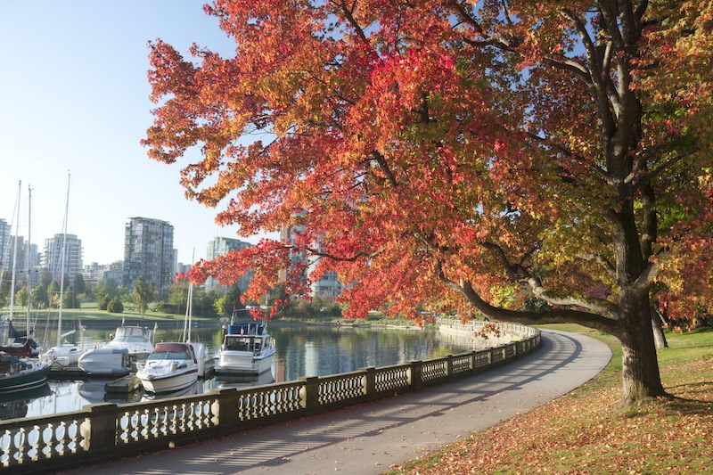 stanley-park-fall-forecast-vancouver-2021