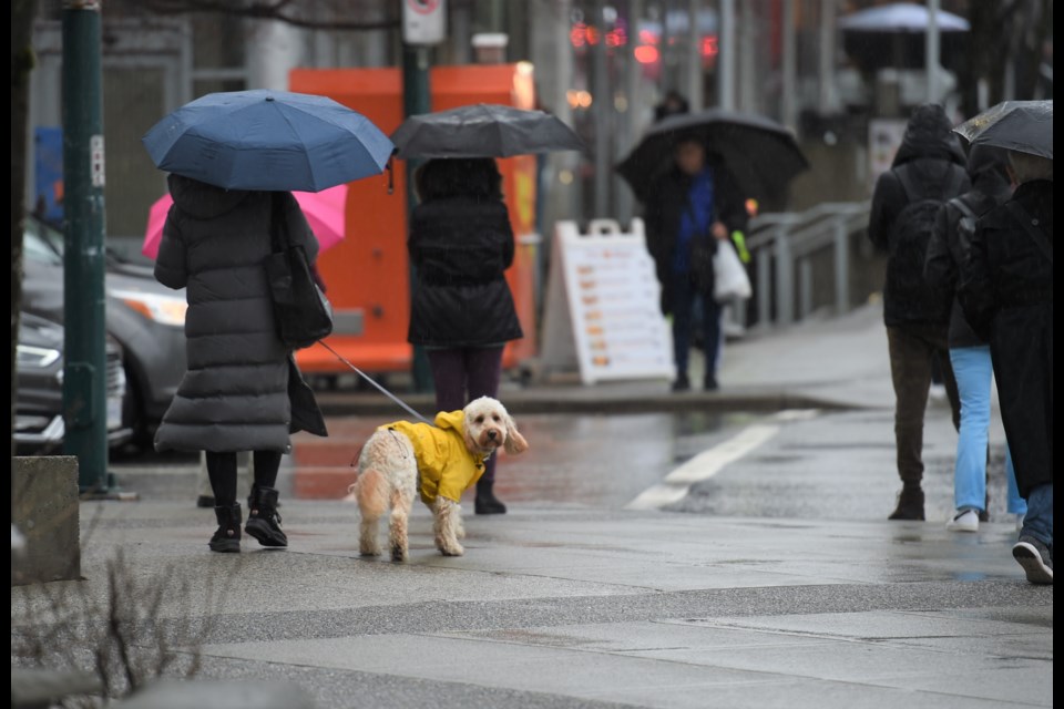 It'll be another rainy week in Vancouver at first, but it should slow down as the week goes on.