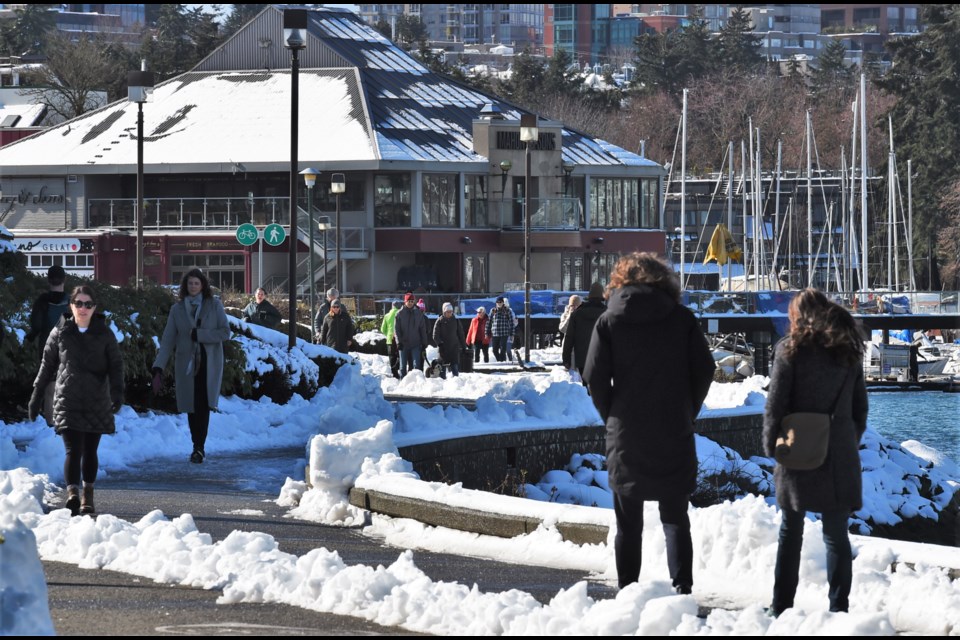 On Feb. 26, 2023, Vancouver awoke to a very snowy city.