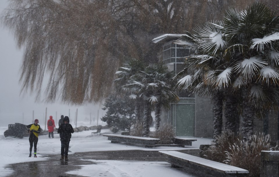 vancouver-jan-2024-snow-palms