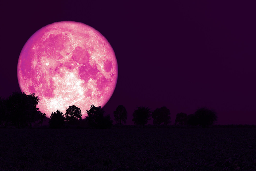 Super Pink Moon 2021 Live Streaming Date and Time: Where and How