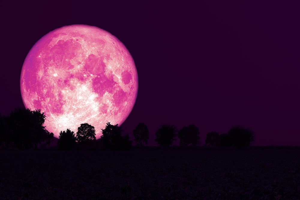 Questo aprile, una gigantesca luna rosa è pronta ad abbagliare il cielo del principe George