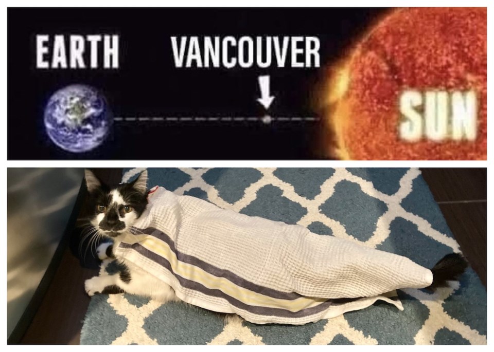 vancouver-heat-wave-june-2021-reaction