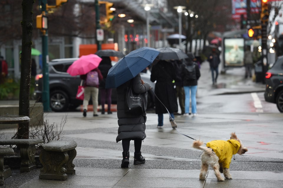 vancouver-weather-rain-dog-raincoat