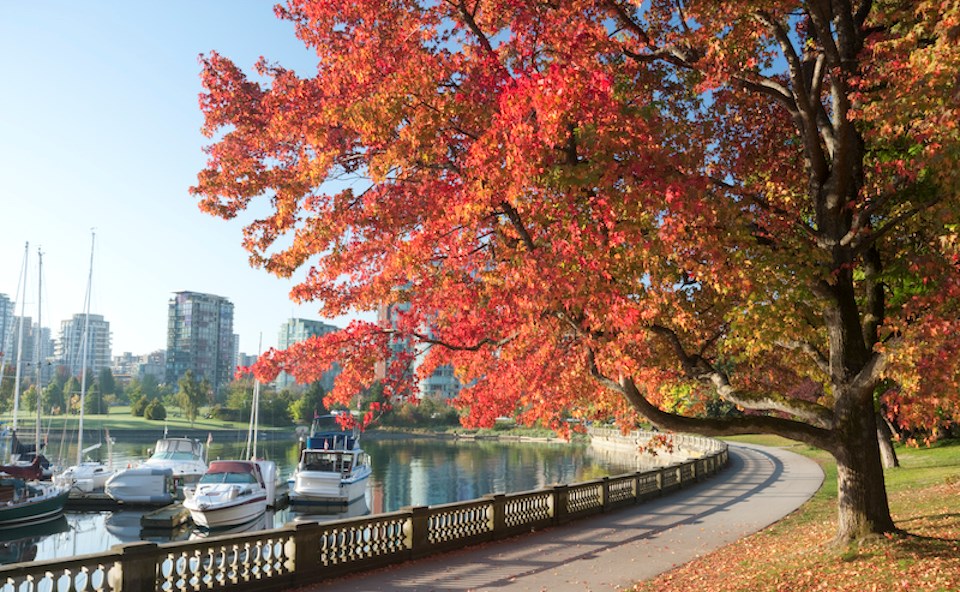 vancouver-weather-august-2022-fall-forecast