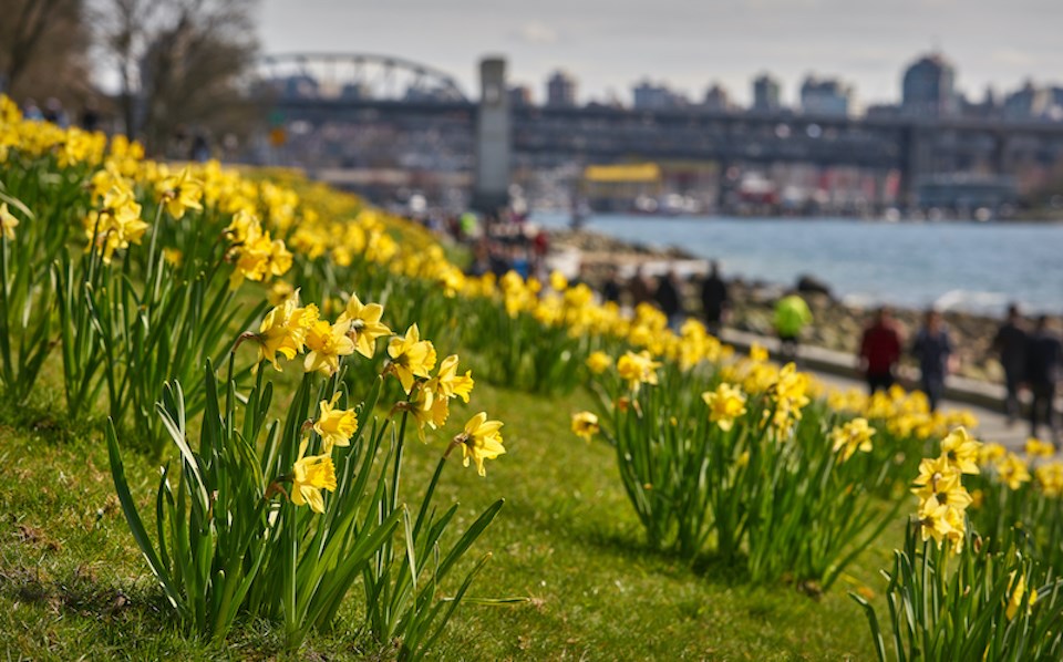 The seven-day Metro Vancouver weather forecast includes warmer temperatures and days of sunshine following a cloudy day on Monday, April 15, 2024.