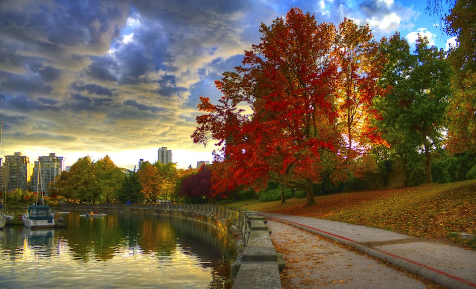 vancouver-weather-fall-foliage