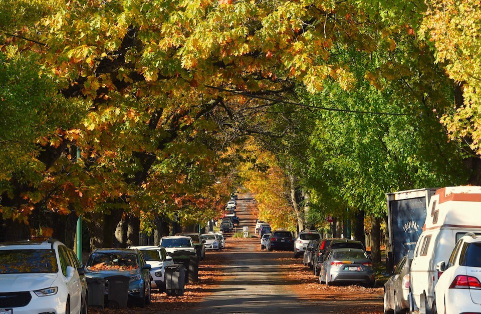 vancouver-weather-fall-street