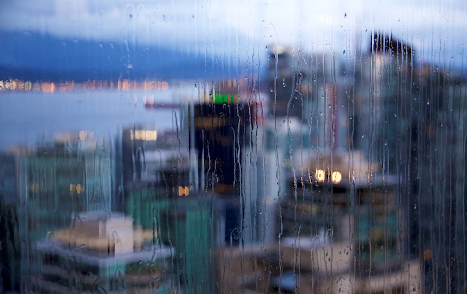 Cold and wet weather returns to Metro 鶹ýӳas mid-February 2024 approaches. 