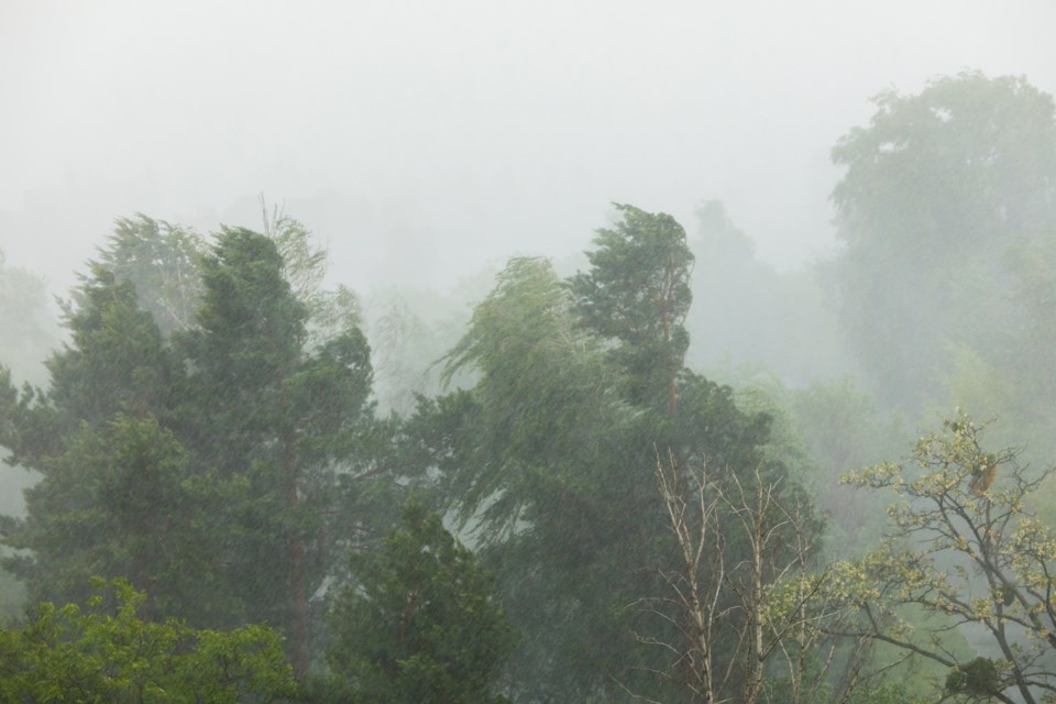 windandrain-tomch-GettyImages-692343236